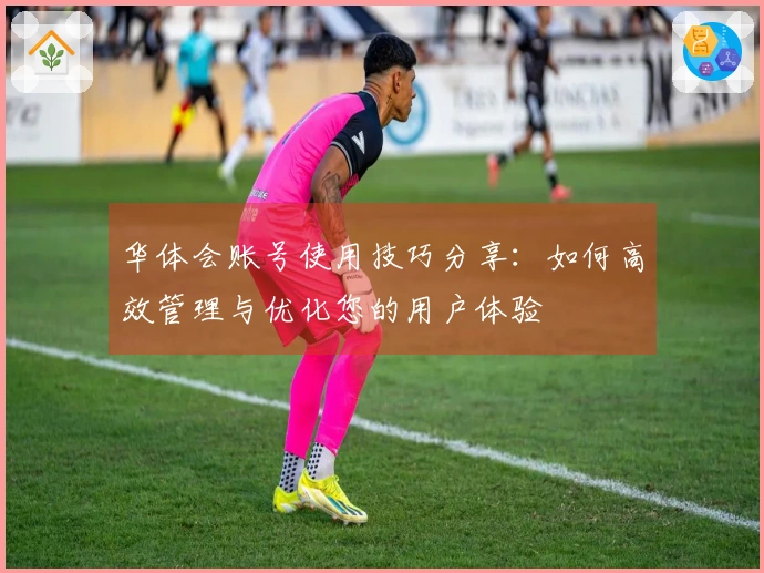 华体会账号使用技巧分享：如何高效管理与优化您的用户体验